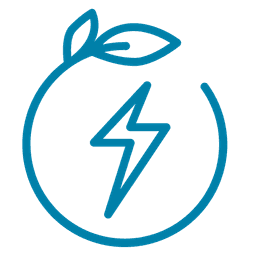 Clean Energy Leadership Icon